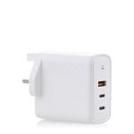 Wall Charger (100W)