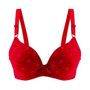 Assorted Bra Without Wire - Flowery
