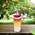 Gradient Water Cup with Handle and Straw