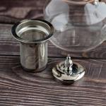Elegant glass teapot with Silver infuser and wooden handle